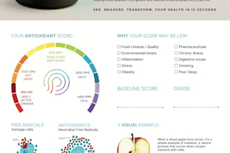 provide quality and natural czech english translations