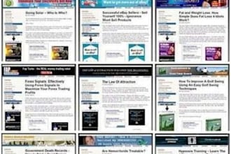 provide you with 47 fully built top quality niche money making websites to supercharge your online income on auto pilot