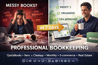 do professional bookkeeping, cleanup and monthly accounting