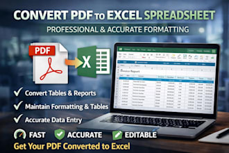 convert PDF to excel spreadsheet with accurate formatting