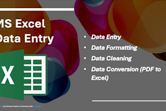 accurately format, clean, and enter data into microsoft excel