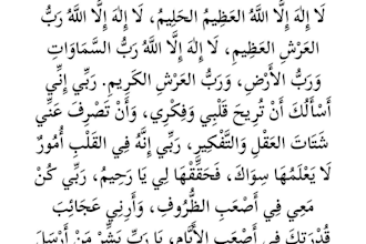 teach you the holy quran with tajweed and arabic