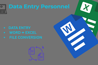 do professional data entry and file conversion