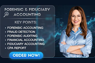 perform forensic accounting, fiduciary accounting, fraud investigation