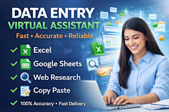 do professional and efficient data entry, excel and web research