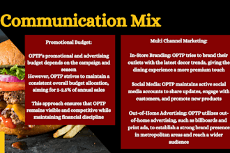 design professional canva or power point presentations