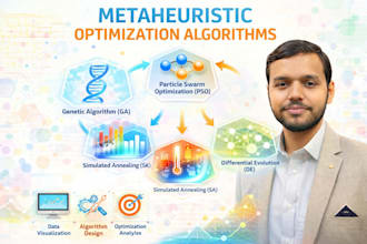 design and implement metaheuristic algorithms in python