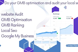 do your gbp optimisation and audit your local seo