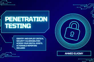 perform advanced web application penetration testing
