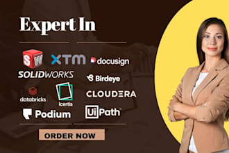 setup solidworks cloudera databricks icertis birdeye podium docusign uipath xtm