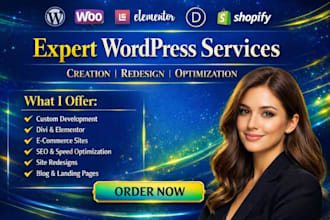 concevoir refondre developper site wordpress cloner presonnaliser blog expert