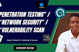 perform expert pen testing penetration testing and network scans