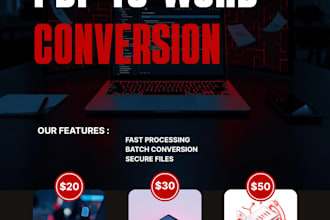 convert PDF to editable word document manually