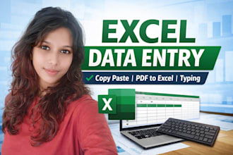 accurate excel data entry, copy paste, and typing work