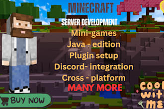 professionally develop your minecraft server
