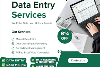 professional data entry and excel data cleaning with full