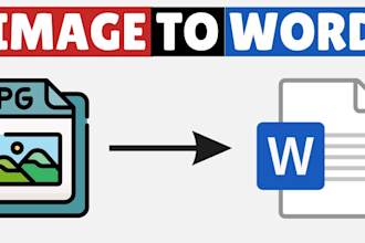 convery image to word or excel typing manually