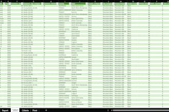 clean and format messy excel data professionally