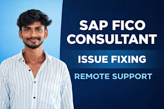 provide sap fico support, configuration and issue fixing