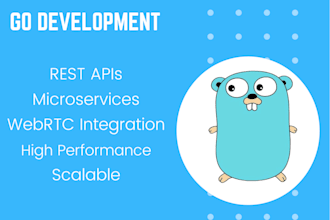 be your golang developer for backend apis, microservices and webrtc