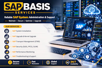 be your sap basis consultant for upgrade and support