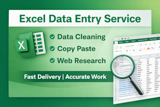 do fast and accurate excel data entry, data cleaning, copy paste work