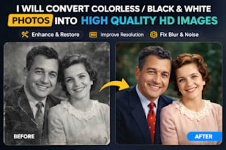 convert colorless photos into high quality HD images