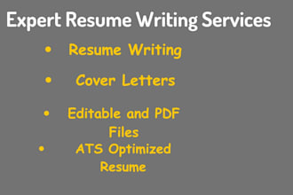 write professional resume writing, UK, USA cv, cover letter and linkedin