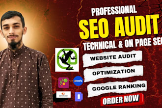 do a professional SEO audit for better google rankings