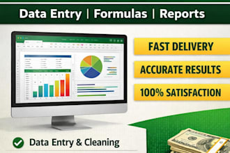 do excel data entry, vlookup, xlookup and create reports