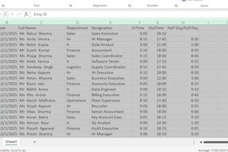 data cleaning and expert in excel