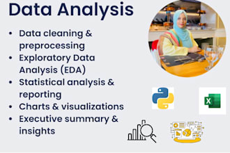 do data analysis and visualization using python and excel