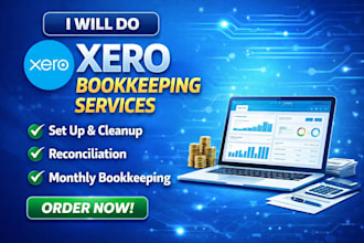 do xero account setup and design