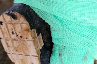 translate hoof trimming and dairy farming documents japanese english