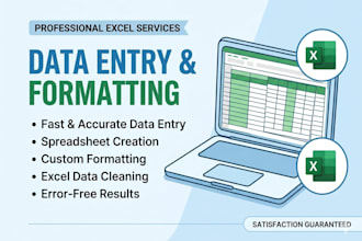 do excel data entry, formatting, bookkeping