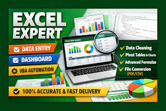 urgent excel pivot table dashboard creation, data entry, vbs