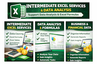 provide excel and data analysis services