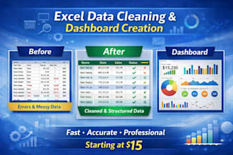 do microsoft excel data cleaning, formating and formulas