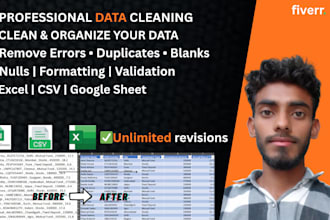 professionally clean organise and transform messy excel data
