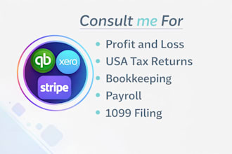 do monthly bookkeeping, payroll processing and US tax returns