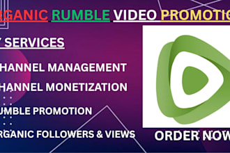 social media promotion and digital marketing