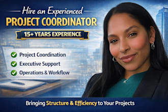 provide professional pmo support and project coordination