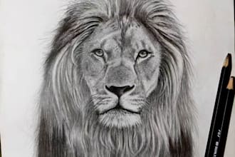 draw hand drawing sketches portraits