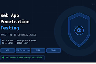 do a web application penetration test and owasp top 10 security audit