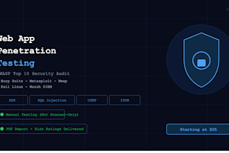 do web application penetration testing and owasp top 10 vulnerability audit