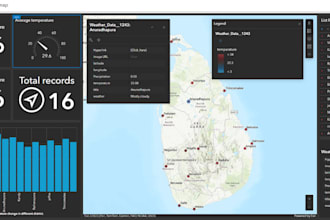 professional data dashboards and gis visualizations