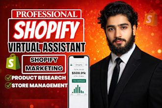 be shopify store manager and run ecommerce ads