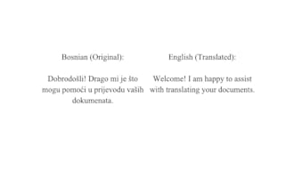 translate accurate and fast bosnian  english translation