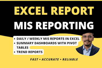 build professional mis reports, KPI dashboards in excel