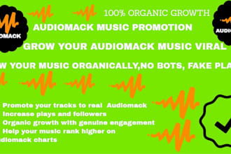 do fast organic audiomack music promotion using email ads campaign